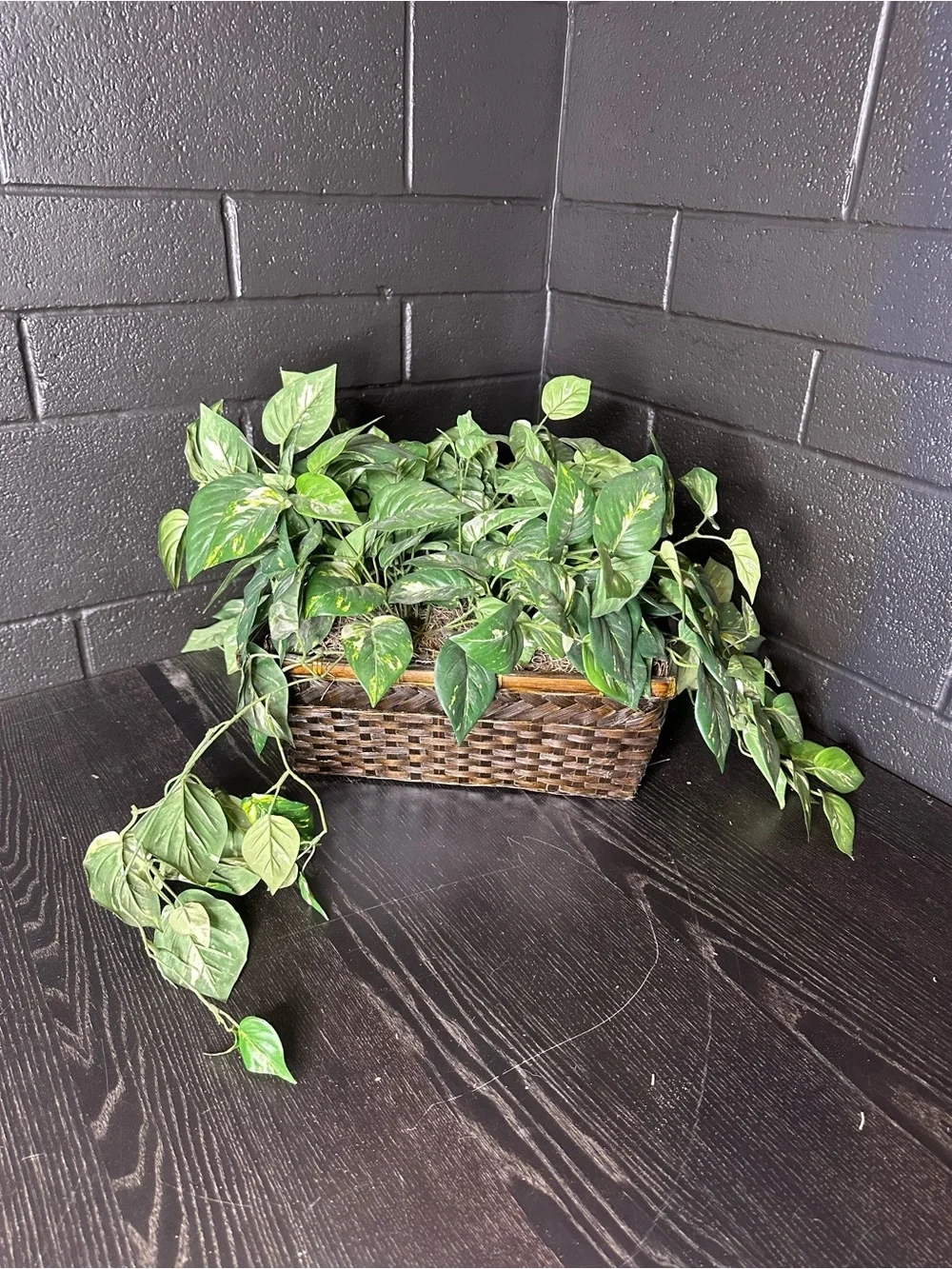 Faux Green Trailing Houseplant in Brown Woven Planter Basket